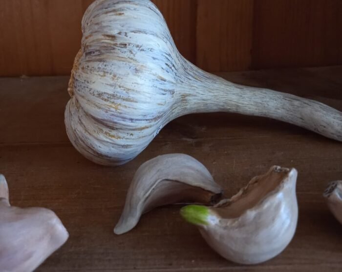 Gousse d'ail