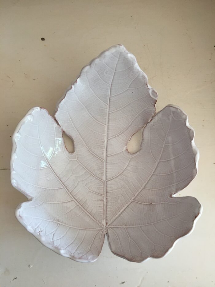 Feuille figuier emmaillée