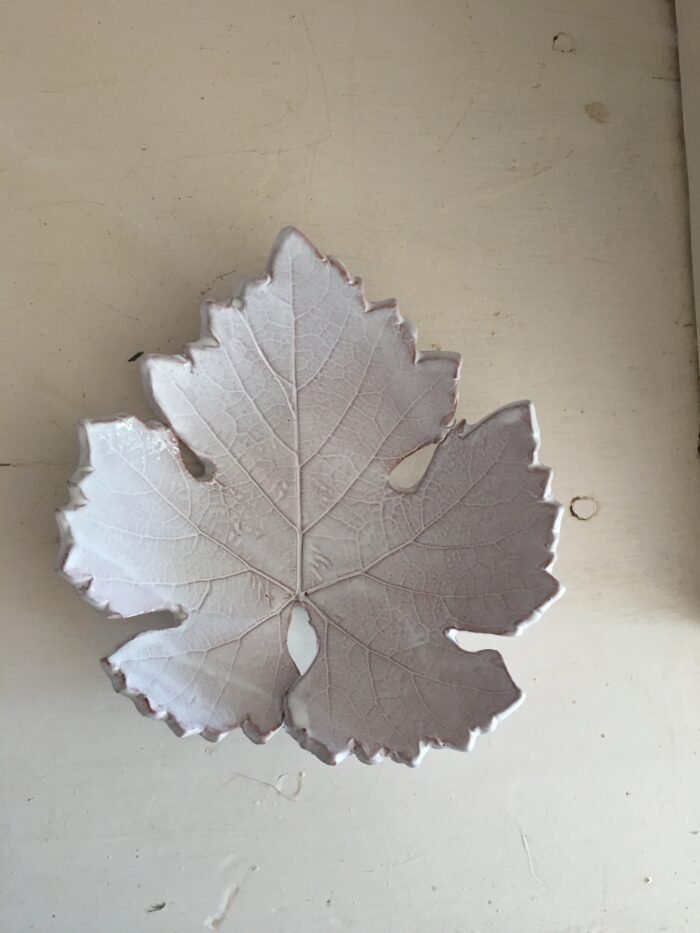 Feuille vigne